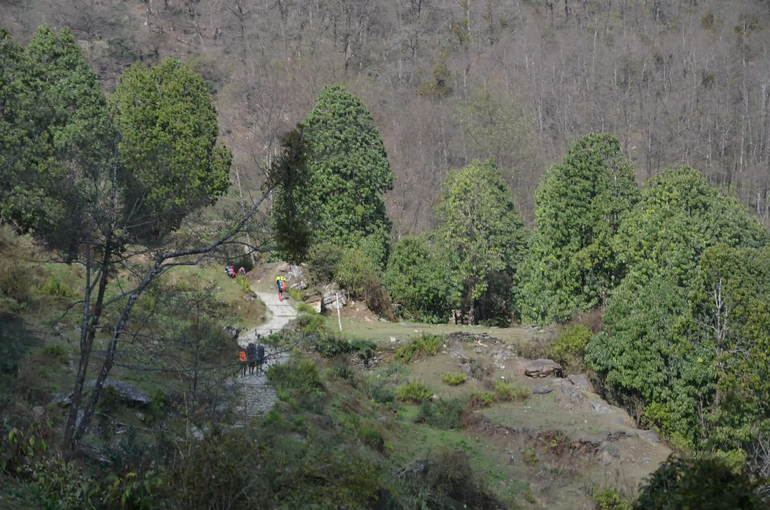 Why book with Mardi Himal