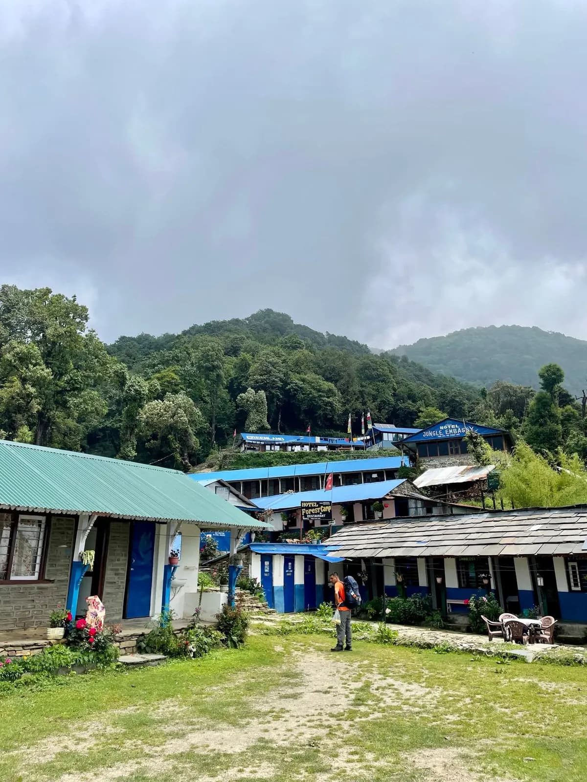 Teahouses on the lawn at Forest Camp on the Mardi Himal trek