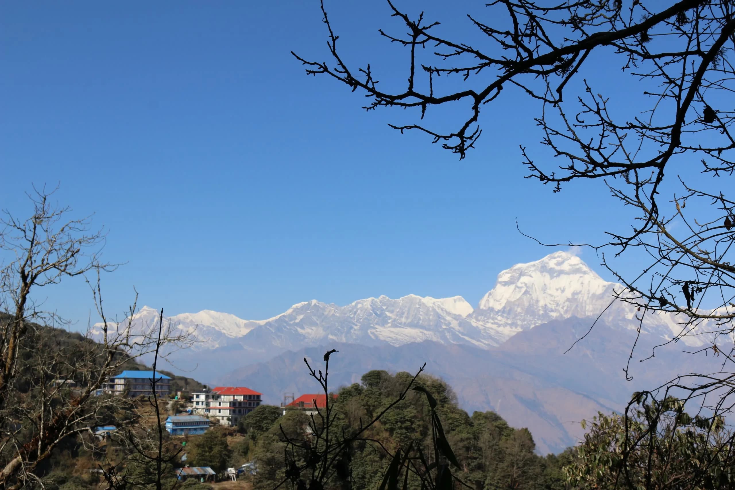 The Himalaya across Nepal's seasons, from spring bloom to clear autumn skies