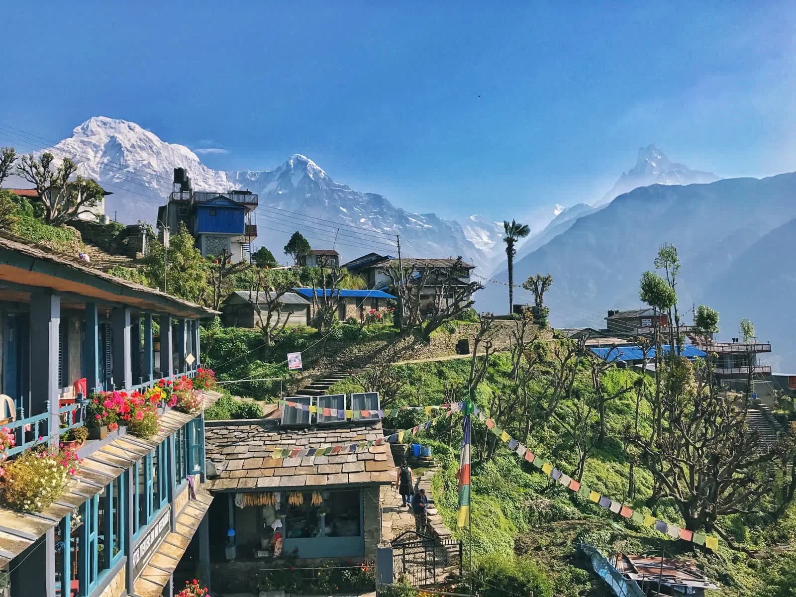 Gurung homestay village and terraced fields on the Mardi Himal descent trail