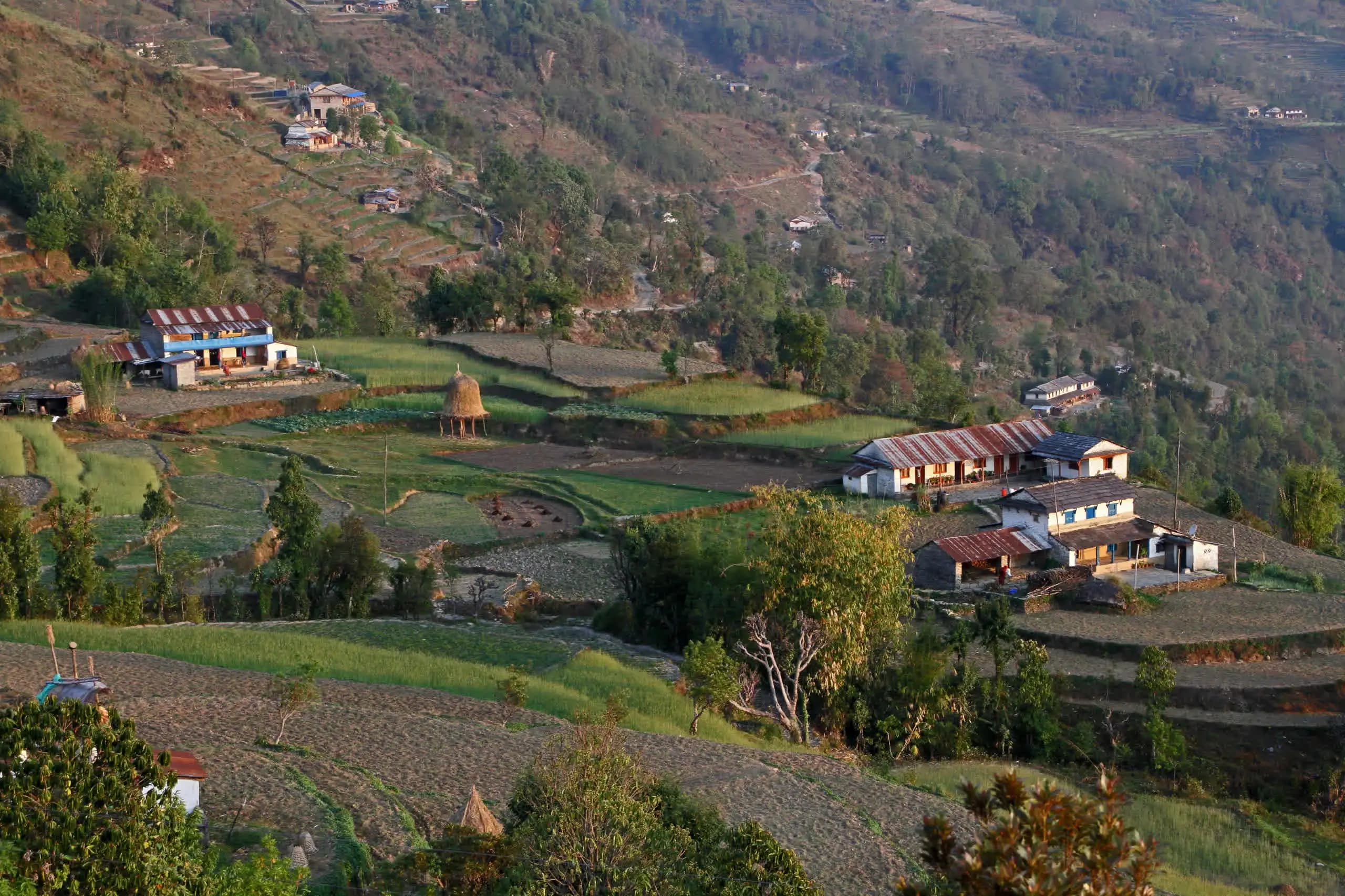 Mardi Himal trek information hub