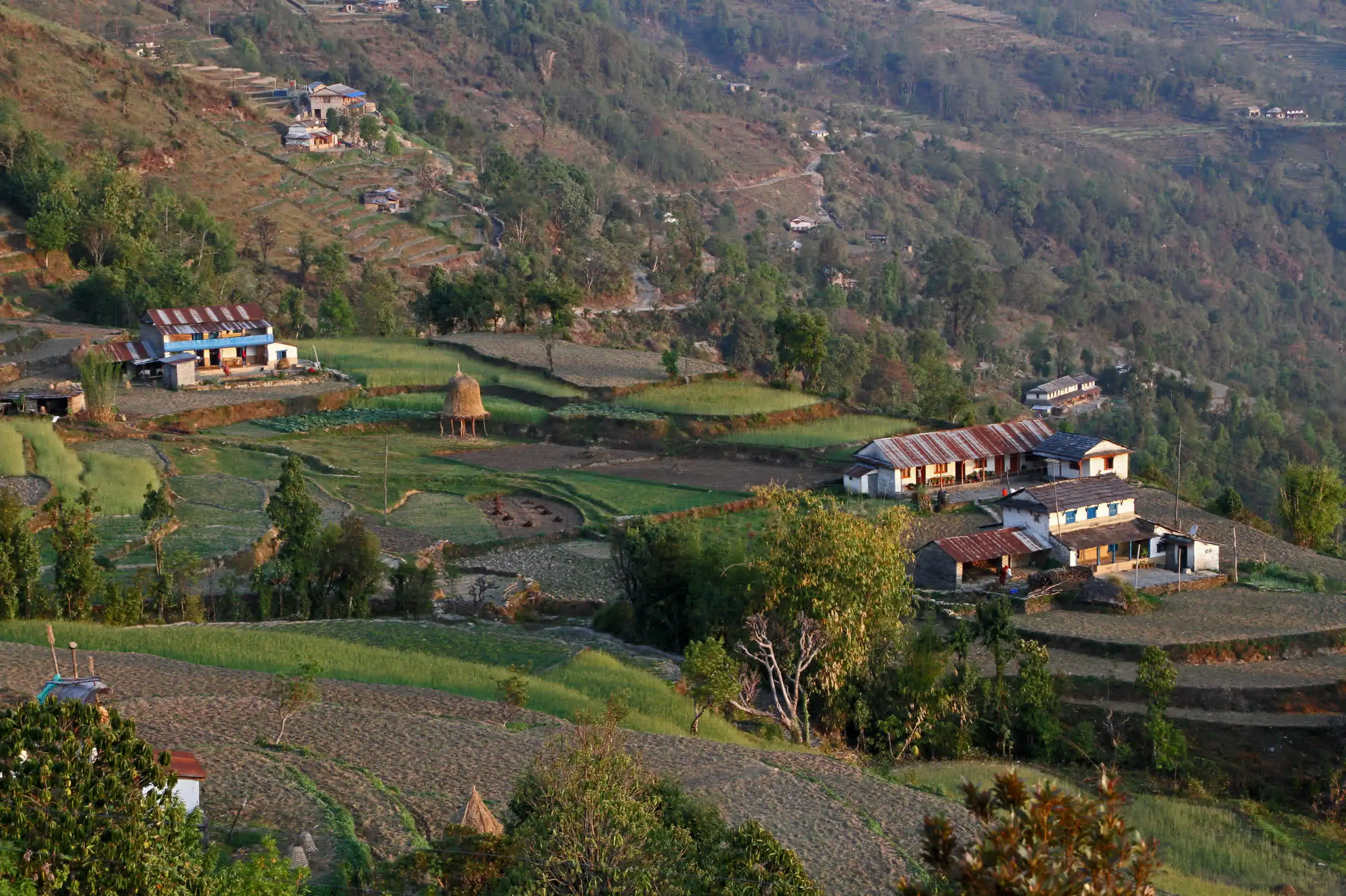Mardi Himal trek information hub