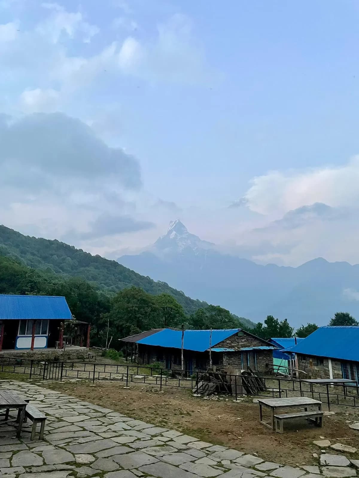 Low Camp on the Mardi Himal trek, where the forest opens to the first mountain views