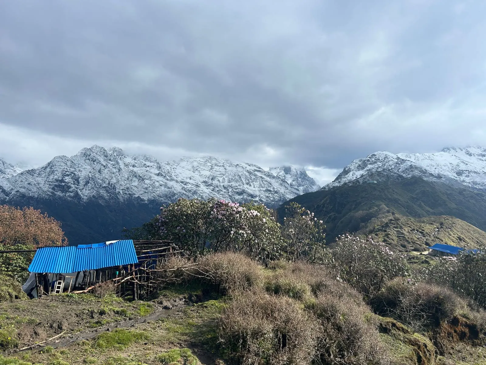 High Camp & Badal Danda on the Mardi Himal trek, day 3