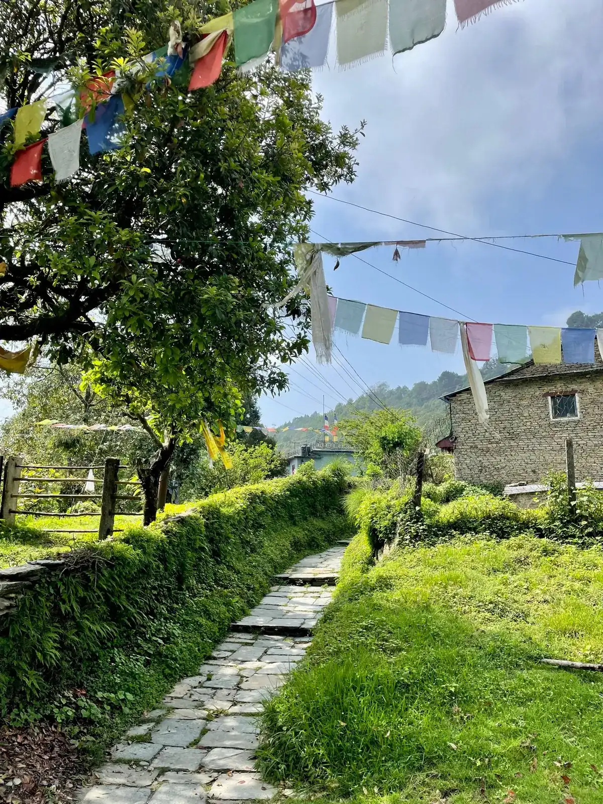 Kande on the Mardi Himal trek, day 1