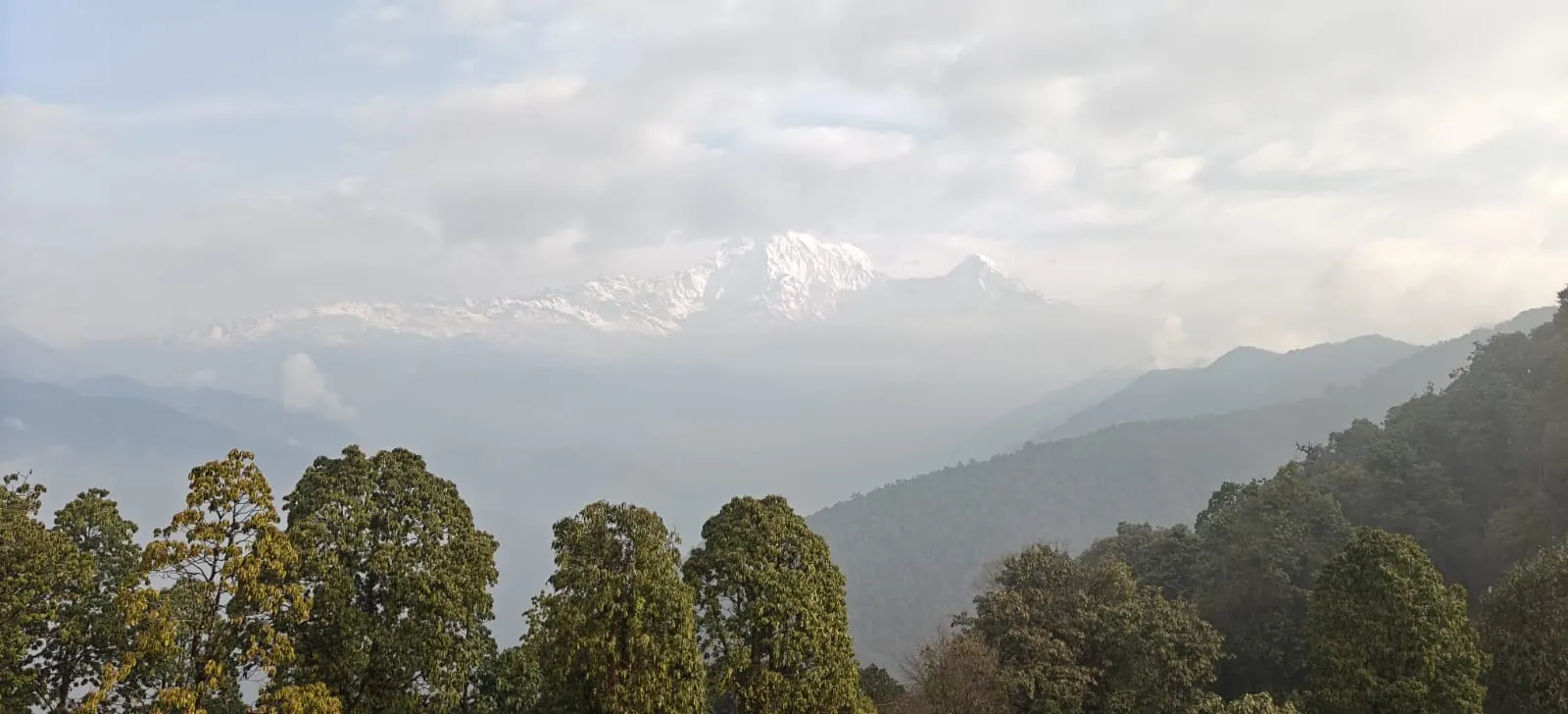 Pitam Deurali on the Mardi Himal trek, day 1