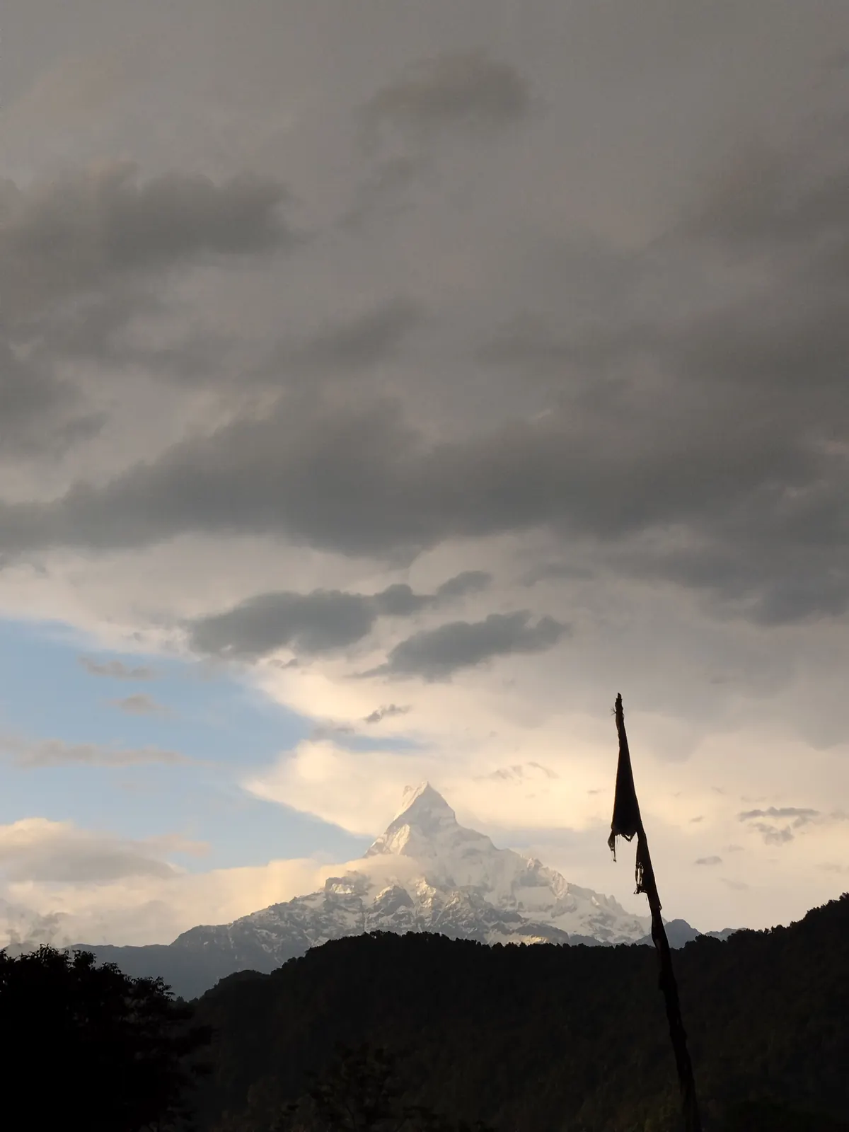 Pitam Deurali on the Mardi Himal trek, day 2