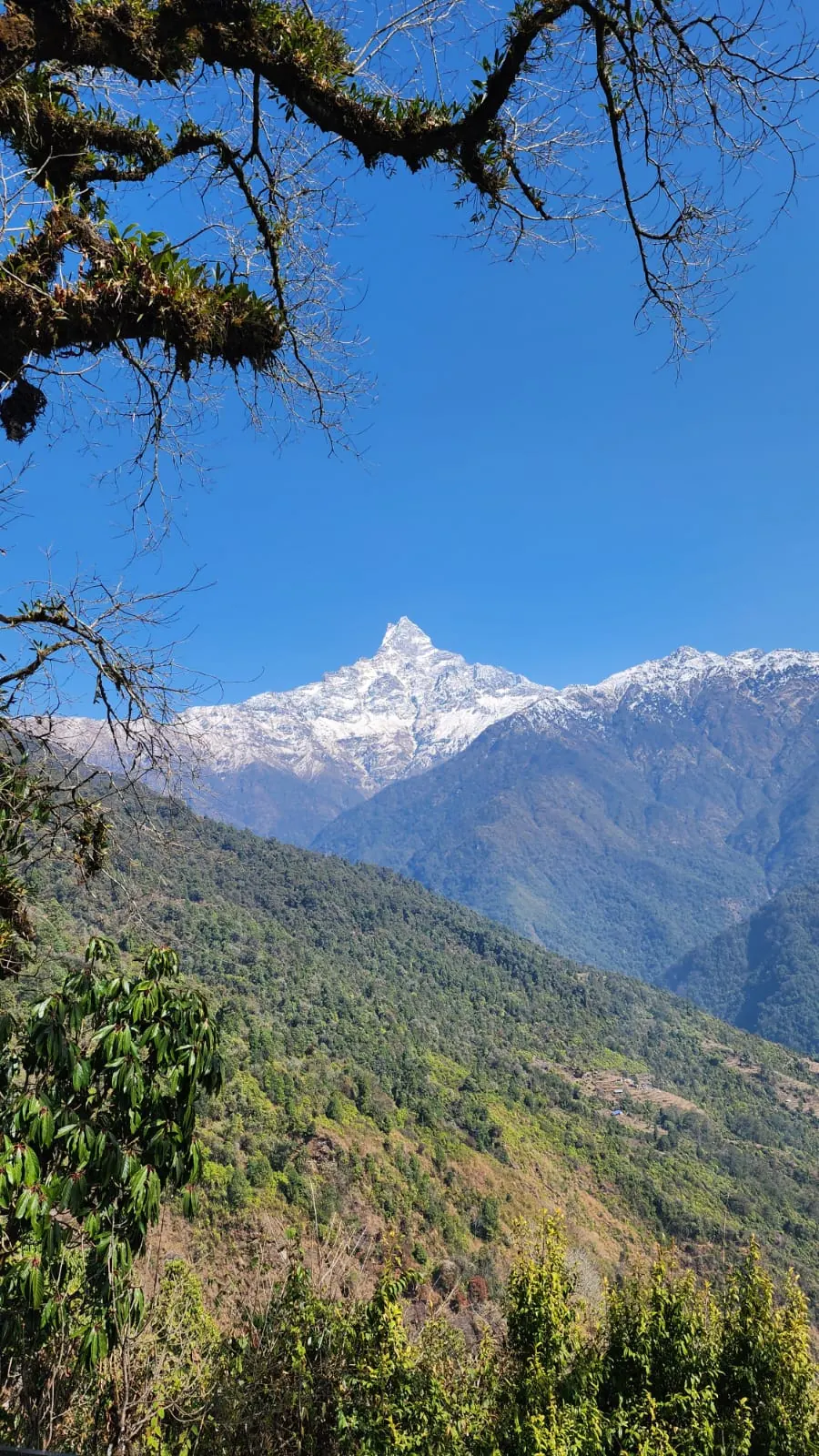 Sidhing on the Mardi Himal trek, day 5